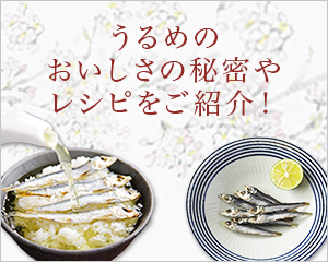 うるめのおいしさの秘密やレシピをご紹介